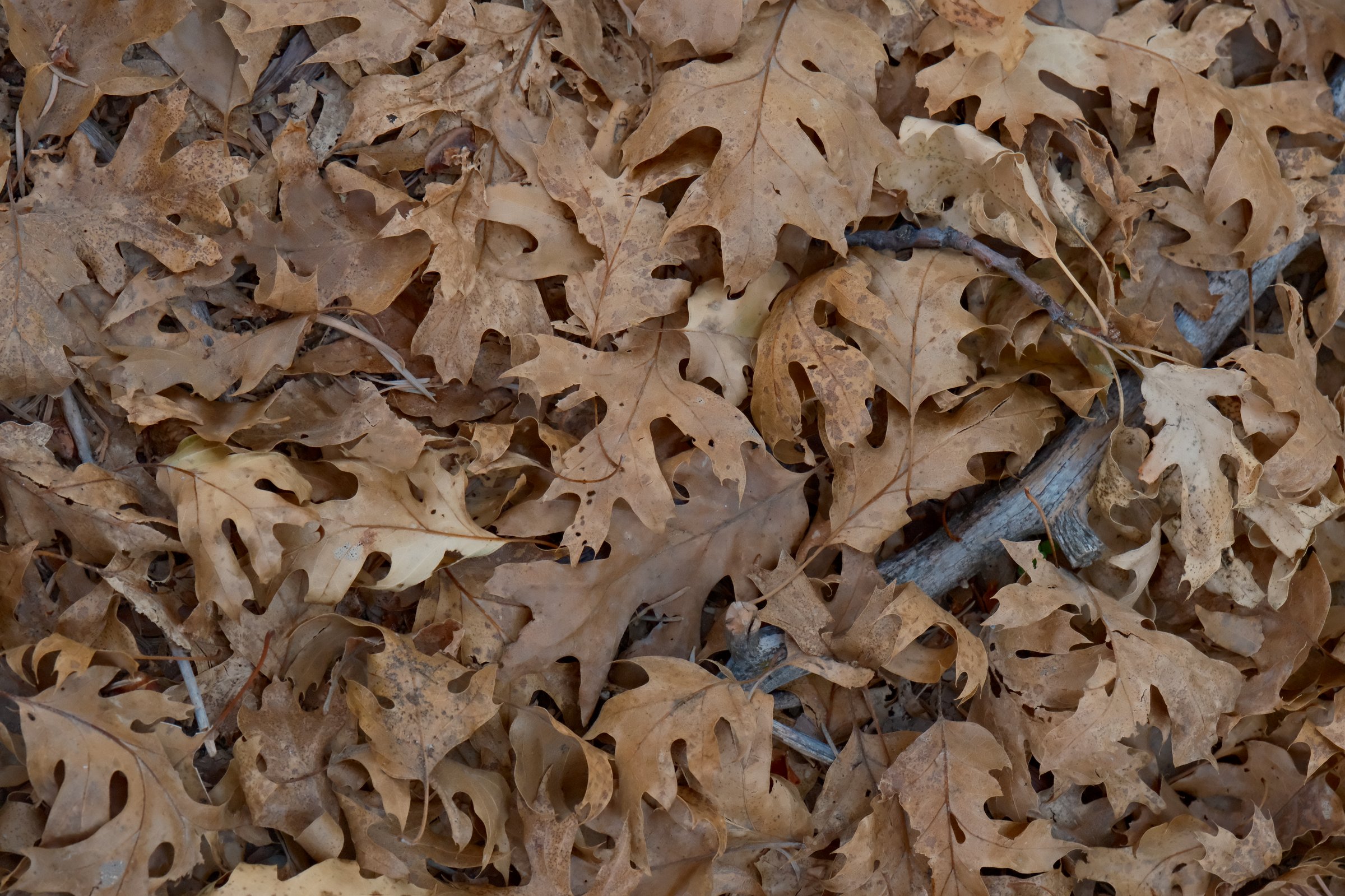 Photograph by Albert Youssef — hero